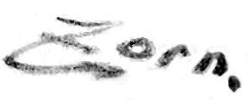 Anders Zorn signature