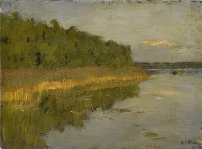 Šilelis prie ežero (ruduo)
