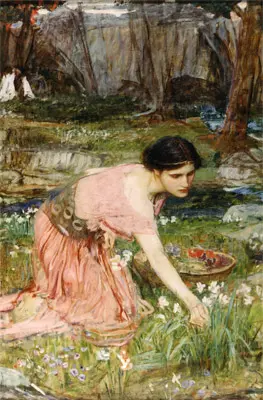 Flora