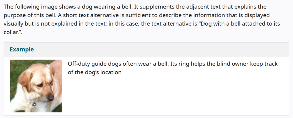 Excerpt from W3C on the use of Alt Text.
