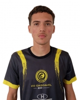 LUIS VELOSO