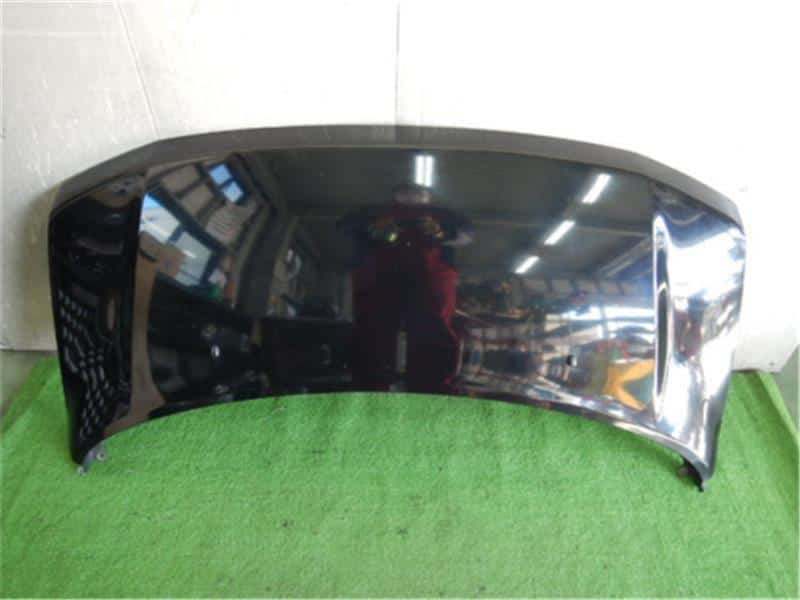 Bonnet Hood NISSAN Otti 2006 CBA-H91 — photo 1