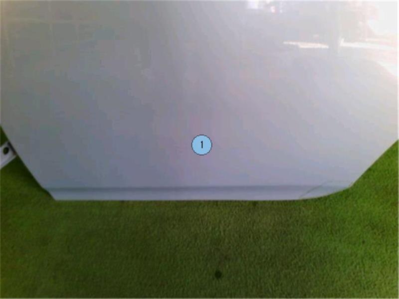 Rear Left Door Assembly TOYOTA Prius 2010 DAA-ZVW30 — photo 2