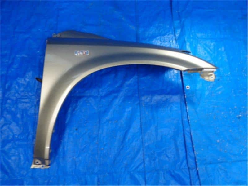Right Fender Panel NISSAN Murano 2006 CBA-PZ50 — photo 1