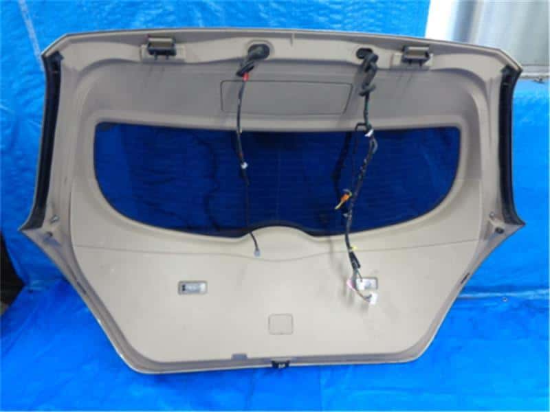 Back Door Assembly NISSAN Murano 2006 CBA-PZ50 — photo 2