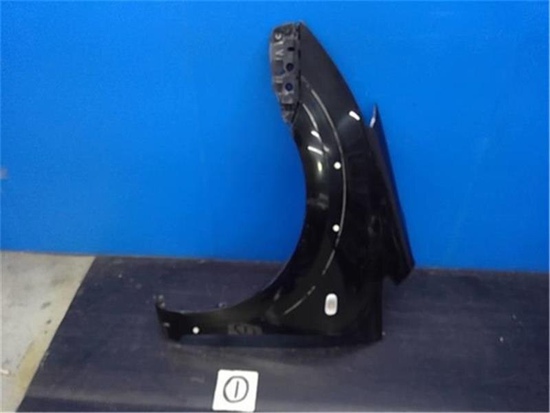 Left Fender Panel TOYOTA Wish 2003 UA-ANE11 — photo 1