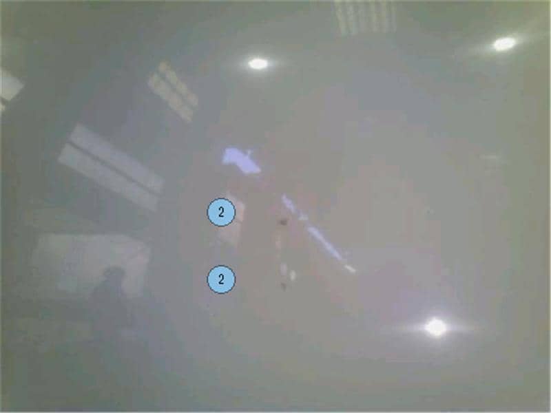 Rear Right Door Assembly SUZUKI Alto 2008 DBA-HA24S — photo 4