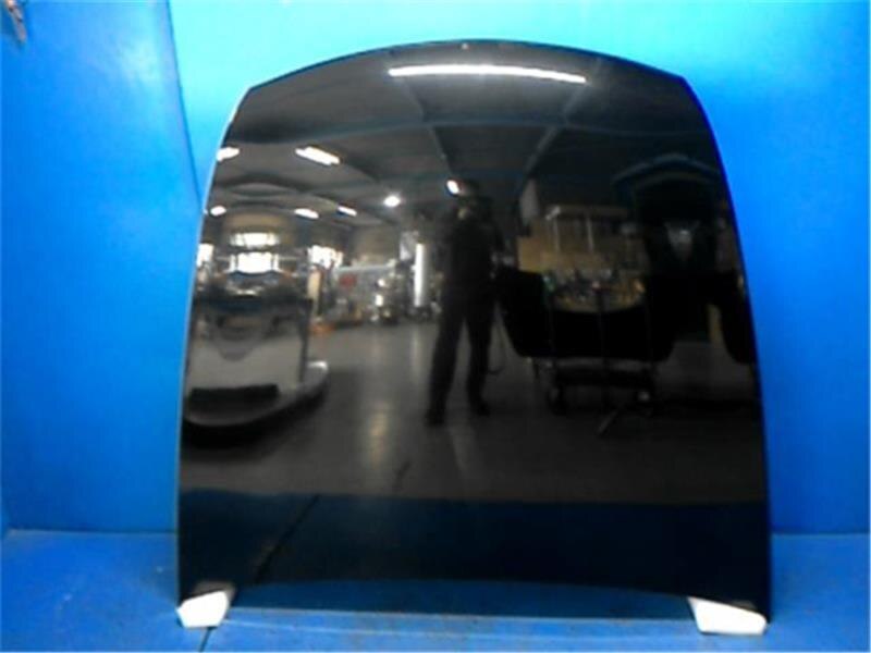 Bonnet Hood TOYOTA Lexus ls 2008 DBA-USF45 — photo 1