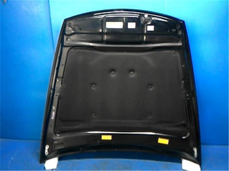 Bonnet Hood TOYOTA Lexus ls 2008 DBA-USF45 — photo 3