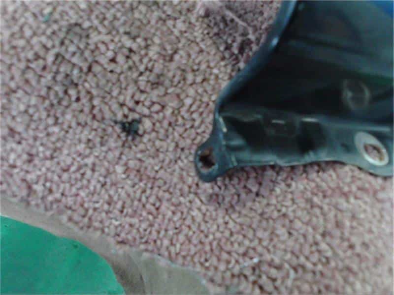 Left Fender Panel HONDA N-one 2013 DBA-JG1 — photo 2