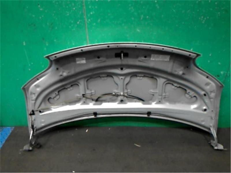 Bonnet Hood TOYOTA Porte 2006 CBA-NNP10 — photo 2
