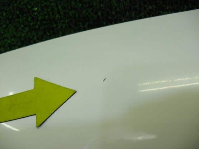 Bonnet Hood TOYOTA bB 2001 TA-NCP31 — photo 3