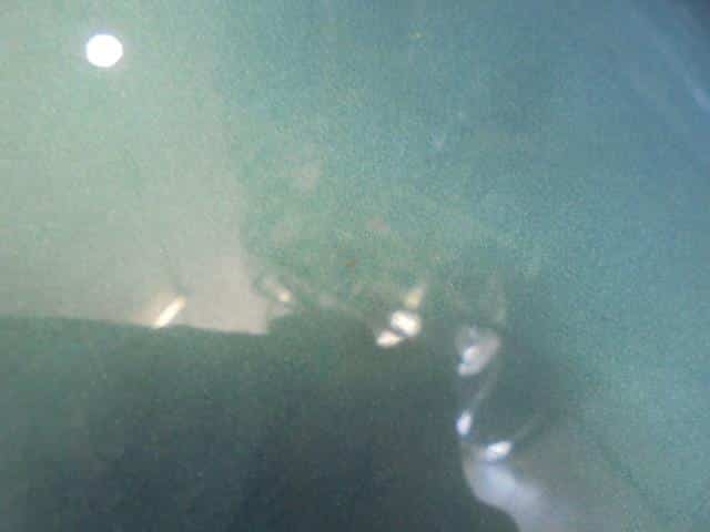 Bonnet Hood NISSAN Wingroad 2006 DBA-JY12 — photo 3