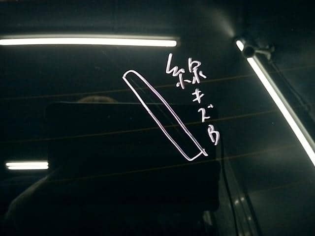 Back Door Assembly NISSAN Murano 2005 CBA-PNZ50 — photo 3