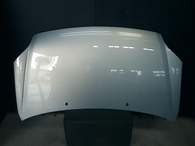 Bonnet Hood TOYOTA Raum 2007 CBA-NCZ20 — photo 1