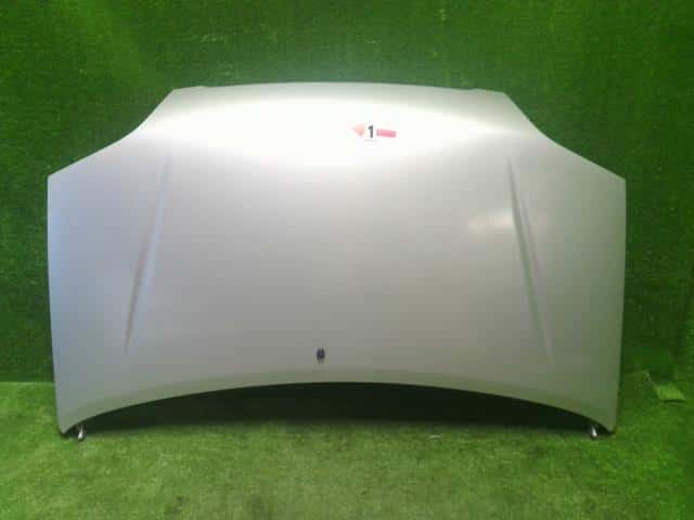Bonnet Hood SUZUKI Kei 2006 CBA-HN22S 5730074G02 — photo 1