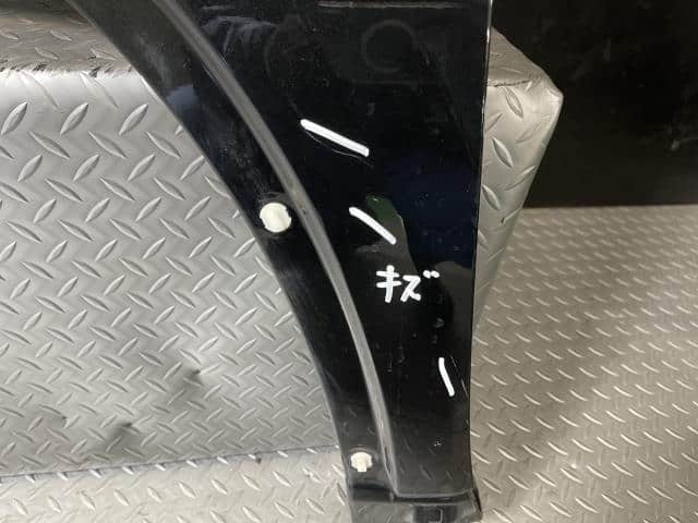 Left Fender Panel NISSAN X-Trail 2010 DBA-T31 — photo 5