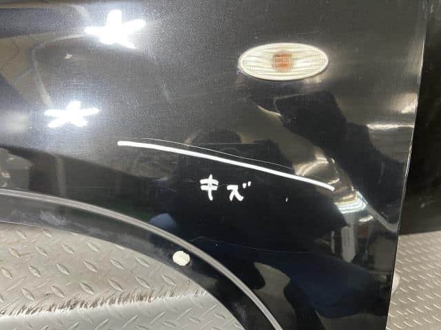 Left Fender Panel NISSAN X-Trail 2010 DBA-T31 — photo 4