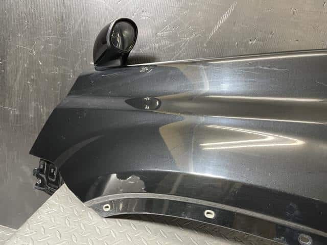 Left Fender Panel NISSAN X-Trail 2010 DBA-T31 — photo 6