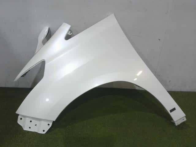 Left Fender Panel TOYOTA Alphard 2009 DBA-GGH20 — photo 1