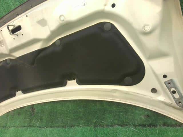 Bonnet Hood HONDA Step Wagon 2009 DBA-RK1 — photo 7