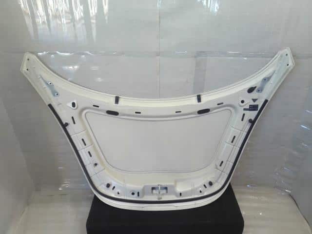 Bonnet Hood VOLKSWAGEN New Beetle 2005 GH-1YAZJ 1C0823031M — photo 2