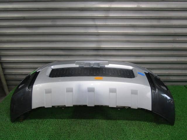 Front Bumper MITSUBISHI Delica D5 2007 DBA-CV5W — photo 2