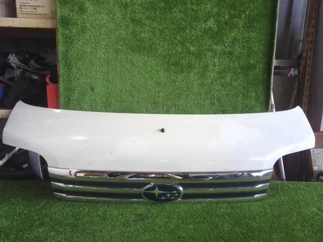 Bonnet Hood SUBARU Dias Wagon 2014 ABA-S321N 53301B5043 — photo 1