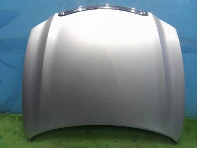 Bonnet Hood SUBARU Exiga 2010 DBA-YA9 57229YC0009P — photo 1