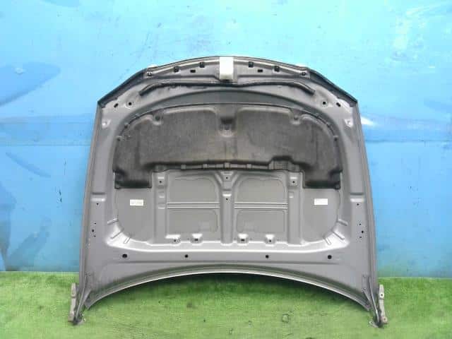 Bonnet Hood SUBARU Exiga 2010 DBA-YA9 57229YC0009P — photo 3