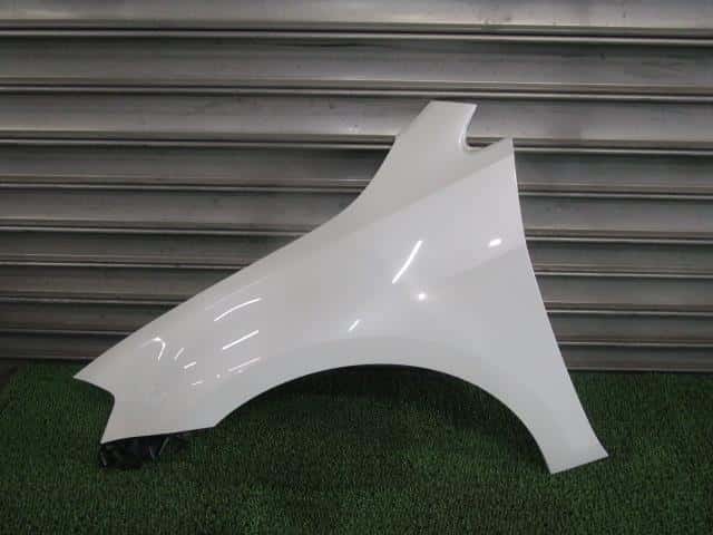 Left Fender Panel VOLKSWAGEN Golf Variant 2014 DBA-AUCHP 5G0821105A — photo 1