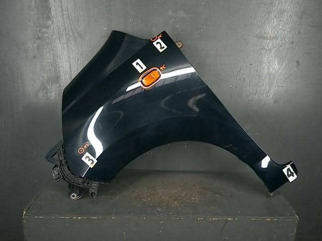 Left Fender Panel HONDA Life 2009 CBA-JC2 — photo 1