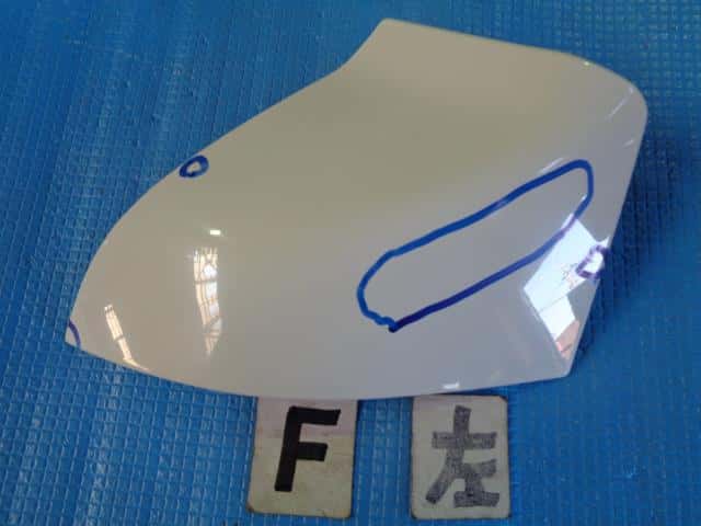 Left Fender Panel DAIHATSU Hijet 2007 EBD-S211P — photo 1