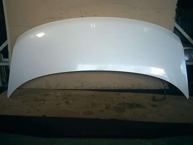 Bonnet Hood NISSAN Elgrand 2006 CBA-ME51 — photo 1
