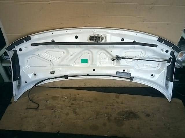 Bonnet Hood NISSAN Elgrand 2006 CBA-ME51 — photo 2