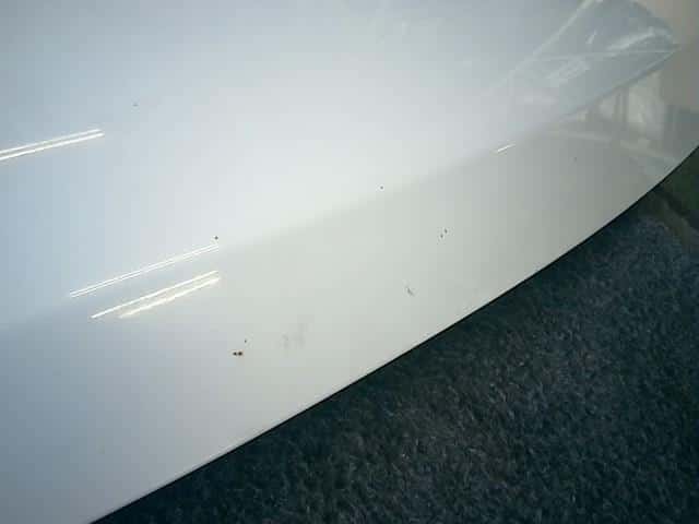 Bonnet Hood NISSAN Elgrand 2006 CBA-ME51 — photo 4