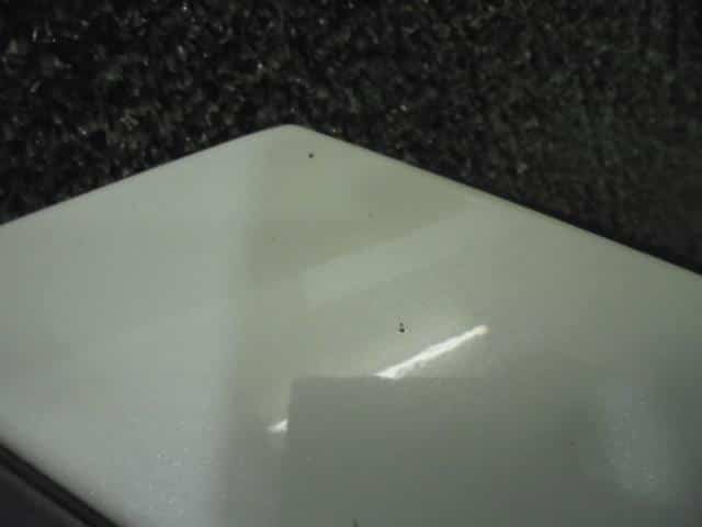 Bonnet Hood NISSAN Teana 2008 CBA-J32 — photo 2