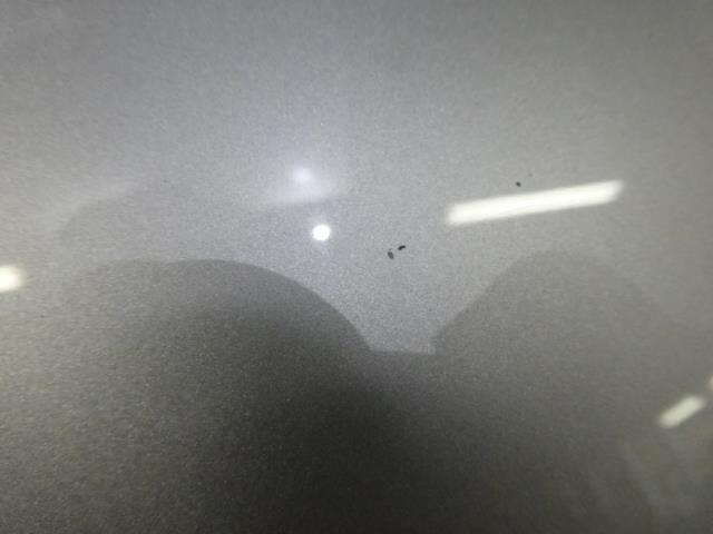 Bonnet Hood TOYOTA Prius 2010 DAA-ZVW30 — photo 4