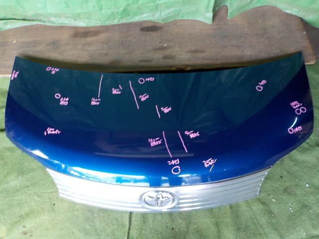 Bonnet Hood TOYOTA Porte 2004 CBA-NNP11 — photo 1