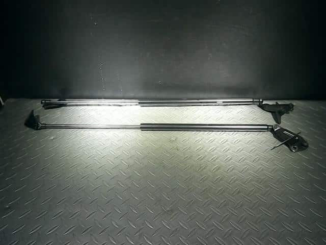 Tail Gate Damper NISSAN JUKE 2011 DBA-YF15 — photo 1