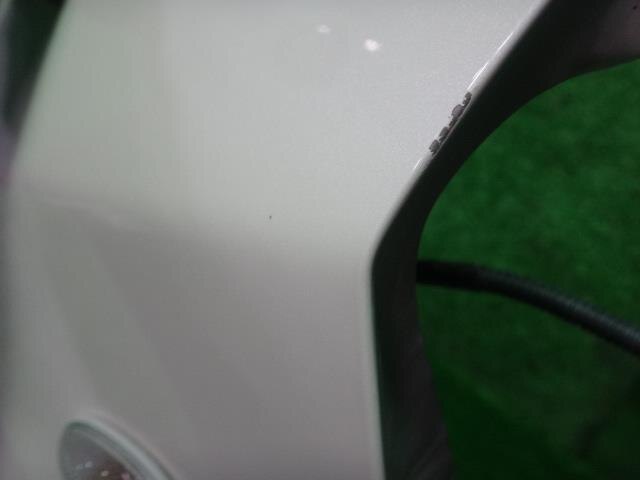 Left Fender Panel TOYOTA Wish 2009 DBA-ZGE25 — photo 4