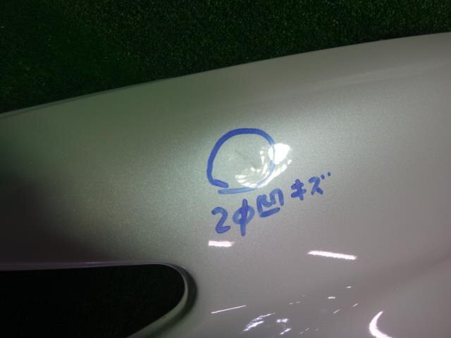 Left Fender Panel TOYOTA Wish 2009 DBA-ZGE25 — photo 2