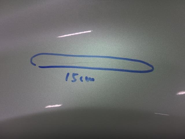 Left Fender Panel TOYOTA Wish 2009 DBA-ZGE25 — photo 3