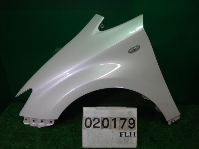Left Fender Panel TOYOTA Wish 2009 DBA-ZGE25 — photo 1