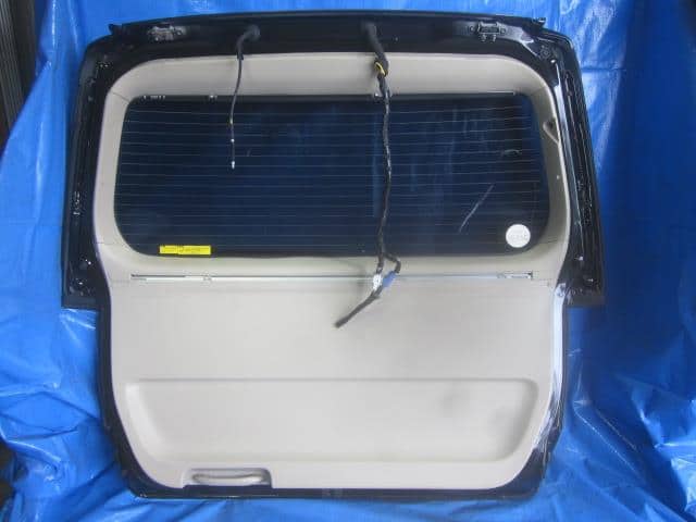 Back Door Assembly TOYOTA Alphard 2005 TA-MNH15W 6700558090 — photo 3