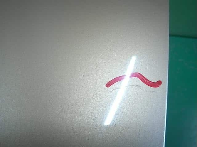 Bonnet Hood MITSUBISHI eK Classy 2005 CBA-H81W — photo 3