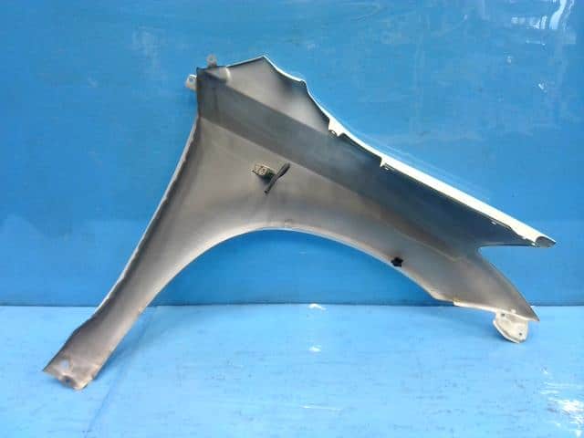 Left Fender Panel NISSAN Murano 2004 CBA-PNZ50 — photo 2