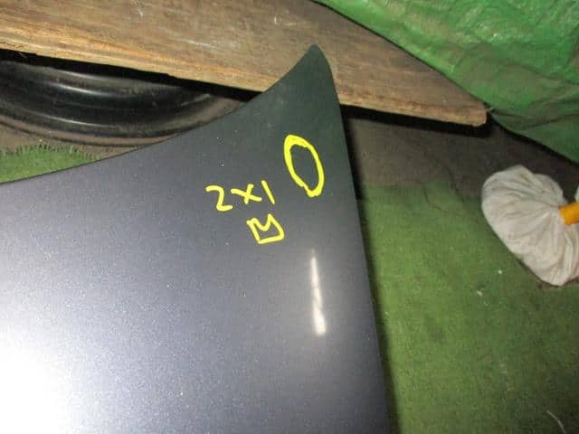 Bonnet Hood NISSAN Elgrand 2003 UA-NE51 — photo 4