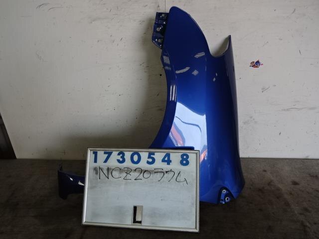 Left Fender Panel TOYOTA Raum 2004 CBA-NCZ20 — photo 1