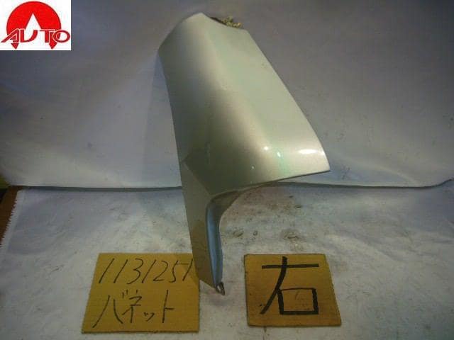 Right Front Side Body Panel NISSAN Vanette 2000 GC-SK82VN 61261HA004 — photo 1